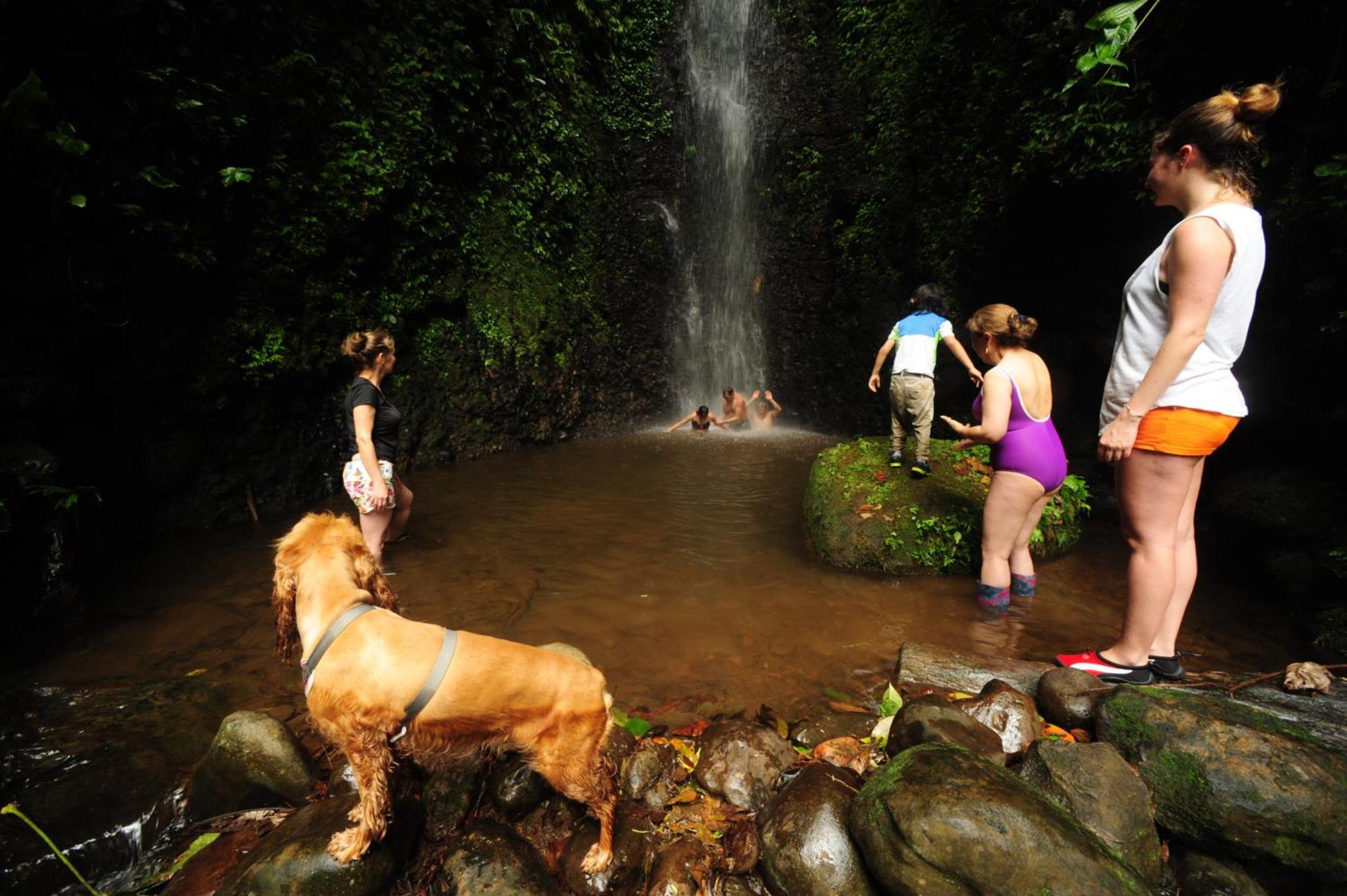 Hosteria Orkidea Lodge ปูโย ภายนอก รูปภาพ